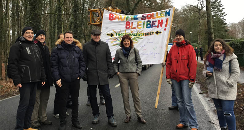 Protest gegen Baumfällungen